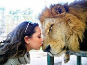 Каких девушек любят львы