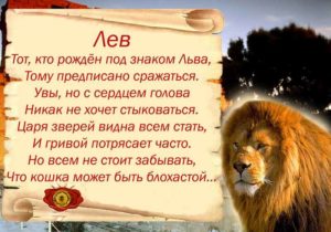 Знак зодиака лев мужчина
