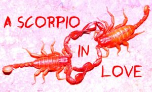 Поведение влюбленного мужчины скорпиона