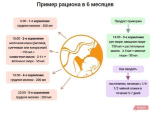 кормление ребенка в 6 месяцев