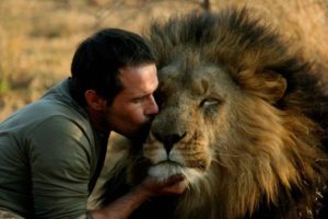 Мужчины львы в любви