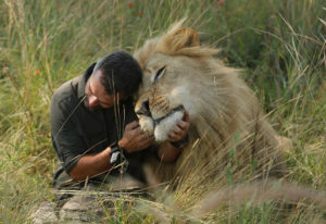 Как приручить мужчину льва